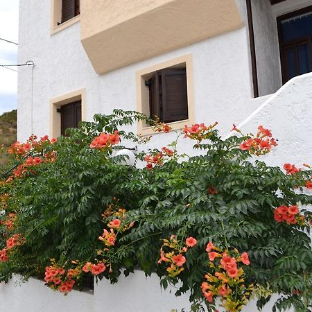 Bella Casa Daire Bali  Dış mekan fotoğraf